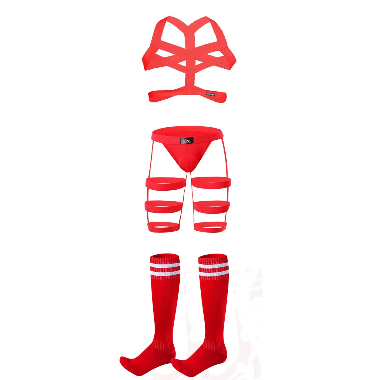 Triple Elastic Harness with Briefs and Socks