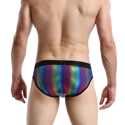 Metallic Rainbow Briefs