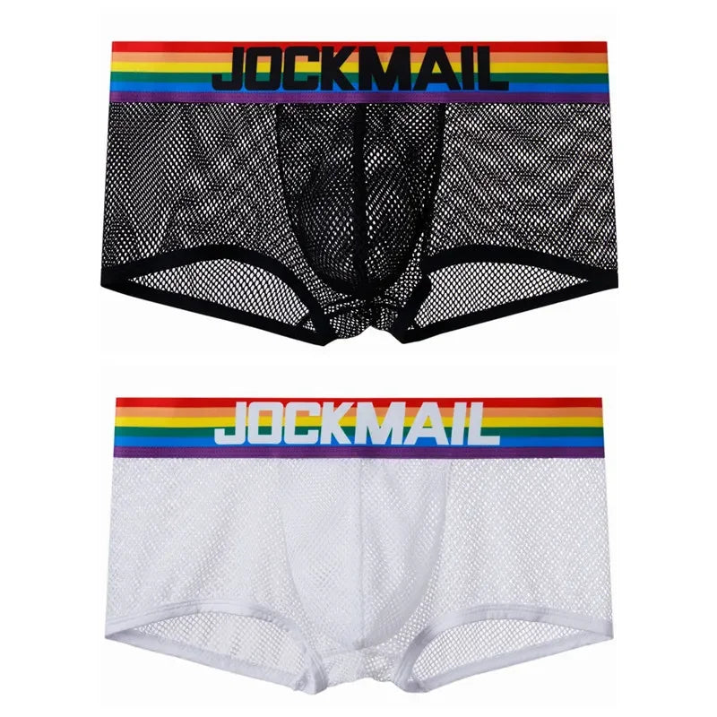 Rainbow Band Mesh Briefs