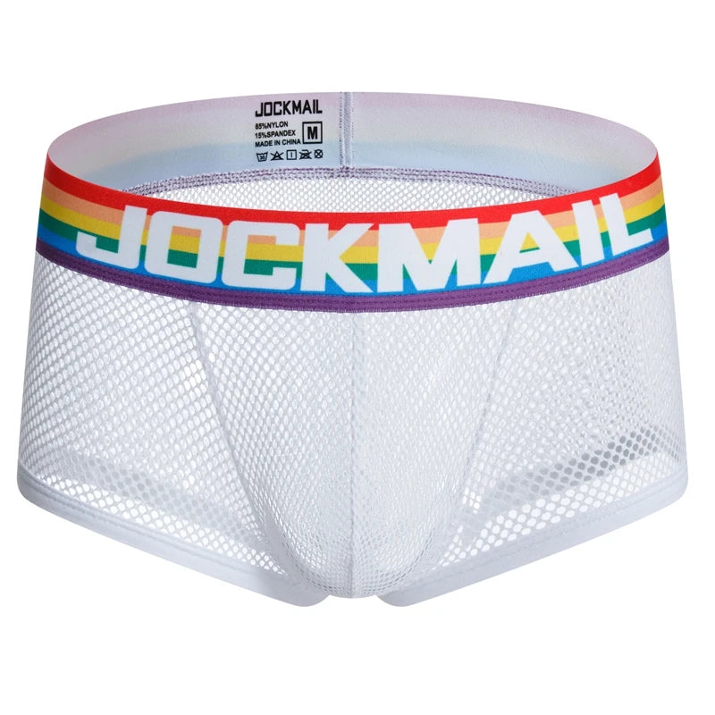 Rainbow Band Mesh Briefs